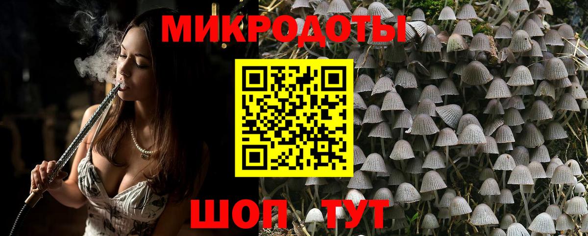 Галлюциногенные грибы Psilocybine cubensis Ухта